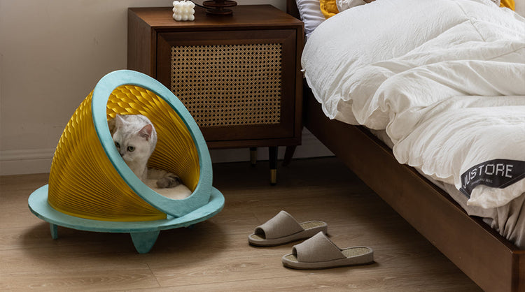 Pet Furniture