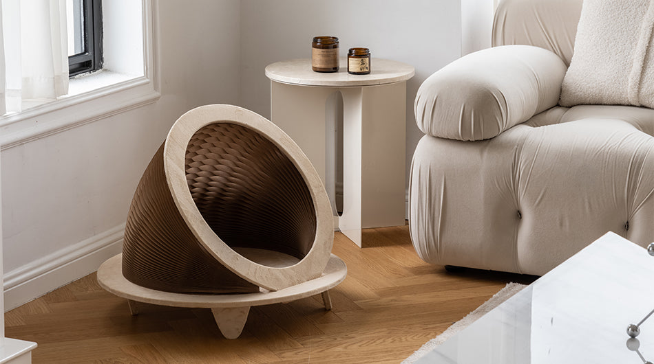 Time Machine Cat House