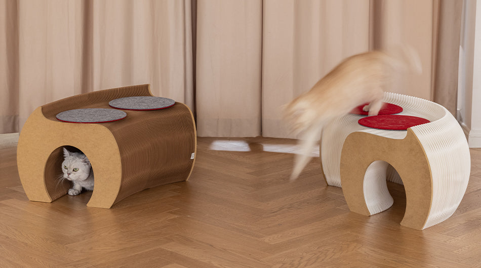 Cat Tunnel Bench