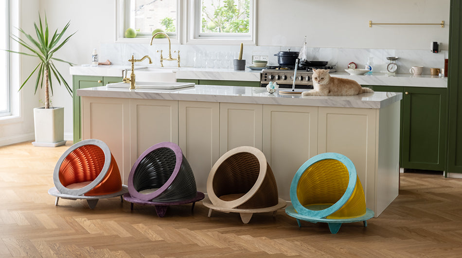 Time Machine Cat House