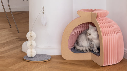 Bun Cat House