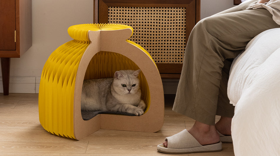 Bun Cat House