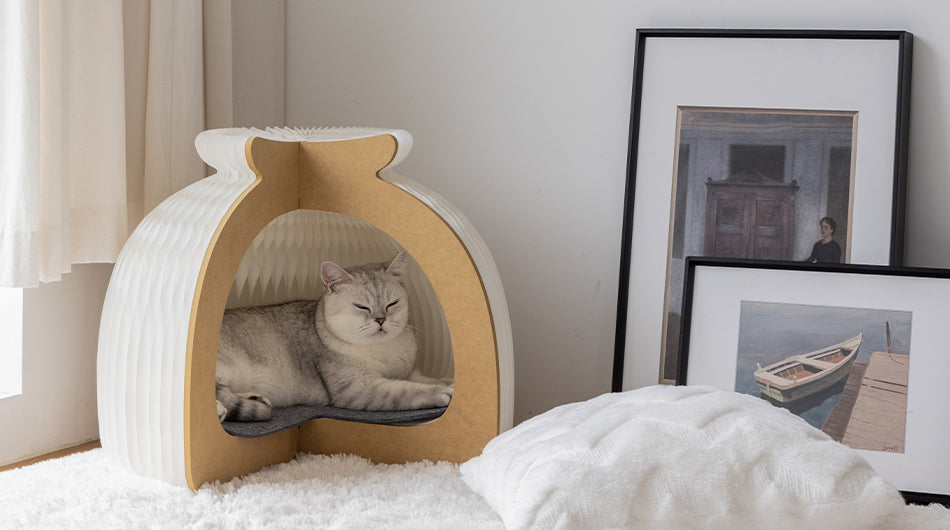 Bun Cat House