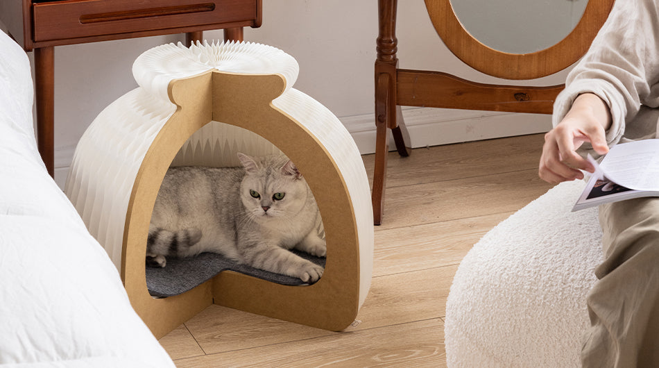 Bun Cat House